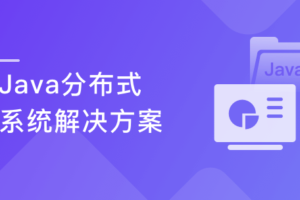 廖师兄亲授-Java分布式系统解决方案网盘下载（完结无密，视频+代码）-乐学教程网