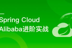 Spring Cloud Alibaba 大型互联网领域多场景最佳实践价值328-乐学教程网