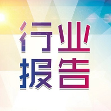 2024最新版各行业报告，能源/医药/环保/Ai等众行业4800份报告-乐学教程网