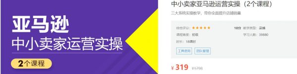 中小卖家亚马逊运营实操，选品·试营·团队管理-乐学教程网