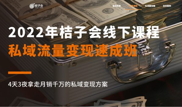 桔子会·私域流量变现速成班，微信营销技巧实操视频课程-乐学教程网