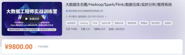 大数据工程师实战训练营 Hadoop/Spark/Flink/数仓等 视频+资料(40G)-乐学教程网