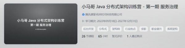 小马哥 Java 分布式架构训练营，服务治理第一期-乐学教程网