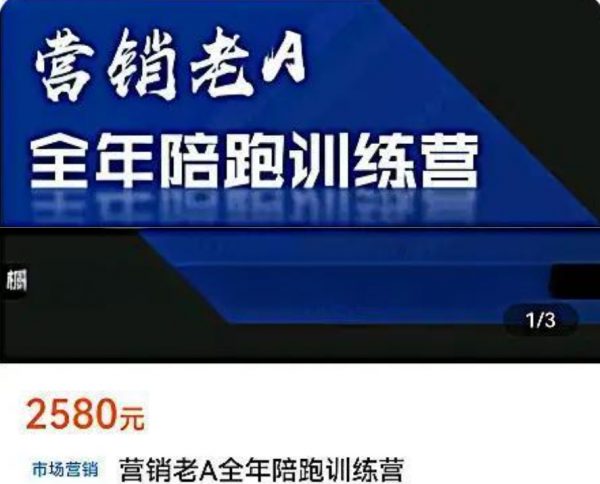 营销老A陪跑训练营，轻理论，重实战，轻概念，重本质-乐学教程网